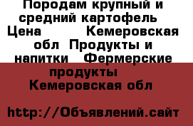 Породам крупный и средний картофель › Цена ­ 120 - Кемеровская обл. Продукты и напитки » Фермерские продукты   . Кемеровская обл.